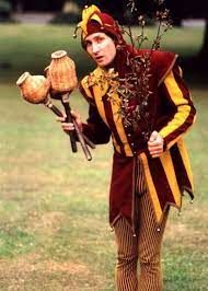 Jester Costume Renaissance Jester Medieval Jester