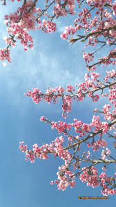  Pin Auf Hintergrundbilder