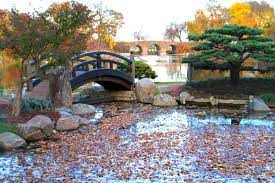 Jackson Park The Garden Of The Phoenix