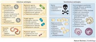 A viral infection usually causes myocarditis, but it can result from a reaction to a drug or be part of a more general inflammatory condition. Viral Myocarditis Diagnosis Treatment Options And Current Controversies Nature Reviews Cardiology