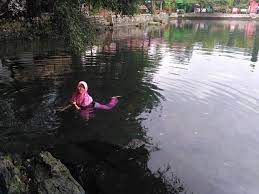 Dengan tiket tersebut, pengunjung sudah bisa menikmati hampir semua area di paraland ini termasuk kolam renang, kecuali wahana berbayar seperti sepeda. Sejuknya Telaga Herang Desa Padaherang Majalengka Guru Geografi