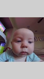 How to Get Buffalo Head in Early Dawn