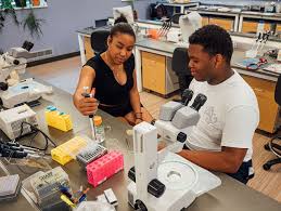 FUTURE Summer Research