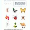 The big ideas in first grade science include learning about life, earth, and physical science concepts such as plants (basic needs, structures and life cycles); 1