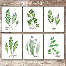 We did not find results for: 8x10s Botanical Prints Kitchen Herbs Wall Art Set Of 6 Unframed Handmade Products Artwork Malibukohsamui Com