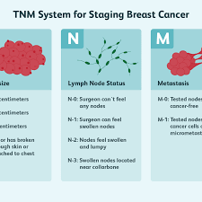 How big is a centimeter? Breast Tumor Size And Staging