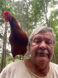 Everything Backyard Chicken!