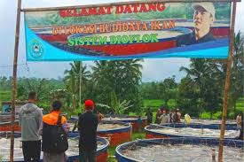 Näytä lisää sivusta yayasan misykat karawang facebookissa. Bank Bjb Bank Bjb Siap Berikan Dukungan Pengembangan Usaha Perikanan Di Jawa Barat