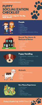 'fear periods in puppies generally occur during these ages: Puppy Socialization Checklist And Schedule For Your New Dog