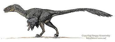 Check spelling or type a new query. 9 Famous Raptors That Weren T Velociraptor