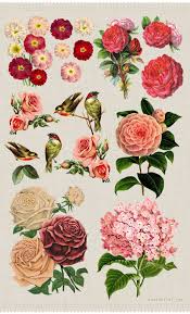 Syster Yster Ravo Flower Art Vintage Flowers Floral