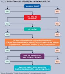 Image result for Comprehensive Skin Integrity Assessment