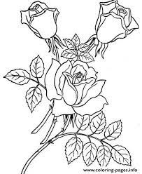 Red Realistic Rose Coloring Pages Printable Four free flower coloring pages for adults flower. red realistic rose coloring pages printable