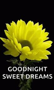 Goodnight Flowers Gif Goodnight Flowers Sweetdreams Discover Share Gifs In 2021 Good Morning Beautiful Pictures Good Night Blessings Good Night Greetings