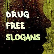 Just fly but don't get high. Drug Free Slogans And Sayings