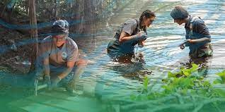 Park Ranger - Project Learning Tree Canada