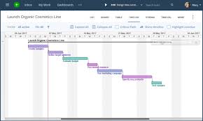 What Is A Gantt Chart For Project Management Infographic