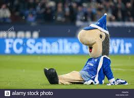 Happy come on gif by fc schalke 04. Gelsenkirchen Deutschland 4 Dezember 2015 Schalke Maskottchen Erwin Sitzt Auf Dem Boden An Der Deutschen Bundesliga Fussballspiel Zwischen Fc Schalke 04 Und Hannover 96 In Der Veltins Arena In Gelsenkirchen Deutschland 4 Dezember 2015 Foto