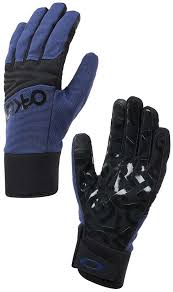 Oakley Factory Park Ski Snowboard Glove S Dark Blue