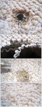 Accidents happen in life that can result in burnt carpet patches. How To Fix Burn Carpet At Home Arxiusarquitectura