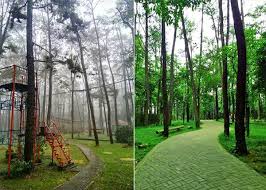 Berapa harga tiket bali zoo untuk lokal ktp bali, domestik, dan kitas holder? Wisata Punti Kayu Palembang 2021 Rute Lokasi Tiket Masuk Dan Pesonanya Traveling Medan