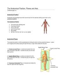 Inferior (caudal) away from the head end or toward the lower part of srtucture. The Anatomical Position Planes And Axis