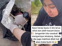 Download gambar wanita menangis berhijab kartun. Wanita Berhijab Ini Menangis Saat Menyelamatkan Anak Anjing Yang Dibuang Di Dalam Karung Indozone Id