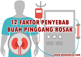 Terdapat banyak penyebab sakit pinggang. Ketahui 12 Penyebab Rosaknya Buah Pinggang Anda Bonda Miza Pengedar Leader Shaklee Terbaik Malaysia