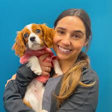 Veterinarian & Animal Hospital in Jacksonville Beach, FL