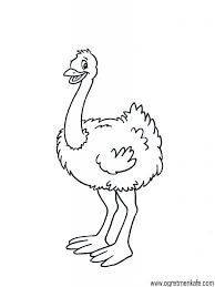 Ostrich Coloring Pages For Kids Preschool And Kindergarten Toddler Coloring Book Coloring Books Coloring Pages