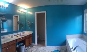 For information on where avocado trees are sold, please contact a nursery nearest you. Wow That S Bright How To Tame A Bold Wall Color