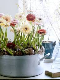 Brautstrauß » alle informationen zum hochzeitsstrauß aktuelle trends kosten bilder jetzt den perfekten brautstrauß finden. 8 Interessante Fakten Uber Die Gerbera Toll Was Blumen Machen