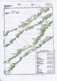 denver developmental screening test ii pdf writer