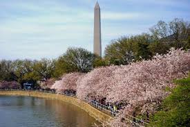 Established in 1999, washington photo safari™ is one of the nation's leading providers of photography training field trips. Washington D C 5 Best Places For Photography