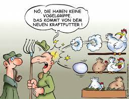 Kommt es nach dem kontakt mit geflügel jeglicher art zu unwohlsein, grippesymptomen oder fieber, muss immer und sofort ein arzt aufgesucht werden. Vogelgrippe Bildergeschichte Witze Lachen Ist Gesund