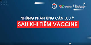 Theo đó, các biểu hiện sớm nhất để. Nhá»¯ng Pháº£n á»©ng Cáº§n LÆ°u Y Sau Tiem Vaccine Covid 19 Hoáº¡t Ä'á»™ng Cá»§a Ä'á»‹a PhÆ°Æ¡ng Cá»•ng Thong Tin Bá»™ Y Táº¿