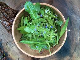 Was kann man im juli säen? 17 Essbare Wildkrauter Fur Alle Jahreszeiten Diese Gibt Es Jetzt