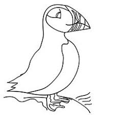 Pin Na Nastence Puffin