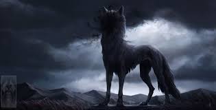 Here you can find the best 4k wolf wallpapers uploaded by our community. Shadow Wolf Wallpapers Top Free Shadow Wolf Backgrounds Wallpaperaccess