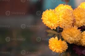 1300 x 957 jpeg 279 кб. Lots Of Beautiful Flowers In The Garden With Copy Space For Text 2466664 Stock Photo At Vecteezy