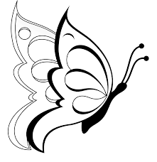 Black and white butterfly drawing. Butterfly Black And White Drawing Free Image Download