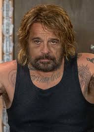 Come un gatto in tangenziale: Come Un Gatto In Tangenziale Wildside Wildside