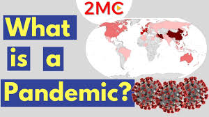 Endemic Vs Epidemic Vs Pandemic How Epidemiologists Classify Disease Prevalence Youtube
