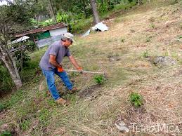 Planting Coffee Trees To Create Sustainability For A Children S Home In Honduras Terramica Treeteam Vol Agricultural Development Agriculture Kids House