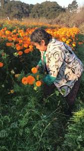 Since opening, we have become. Magdalena Flower Shop 3340 E 12th St Oakland Ca Florists Mapquest