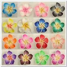 Plumeria Flower Clipart Ourclipart Flower Clipart Flowers Beaded Flowers