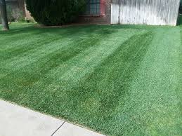 Match made on care.com every 3 minutes, so find your perfect pet care provider today. Lawn Boy Services Amarillo Lawn And Tree Care Service