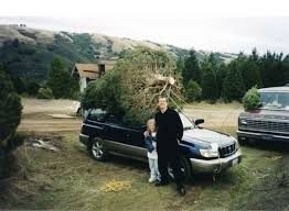 To make your experience easier, our prices are listed on our site and include drilling, netting, shaking and taxes. Skyline Ranch Christmas Tree Farm In Los Gatos California Kid Friendly Attractions Trekaroo