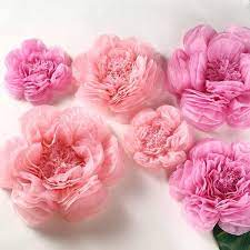 Maybe you would like to learn more about one of these? Wall Flowers