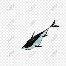 35 koleksi garuda pancasila hitam putih keren kumpulan ucapan gambar putih merah penangkapan ikan warna hitam coretan seni Tinta Dan Cuci Lukisan Ikan Png Grafik Gambar Unduh Gratis Lovepik